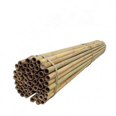 Araci bambus 210 cm /20-22mm